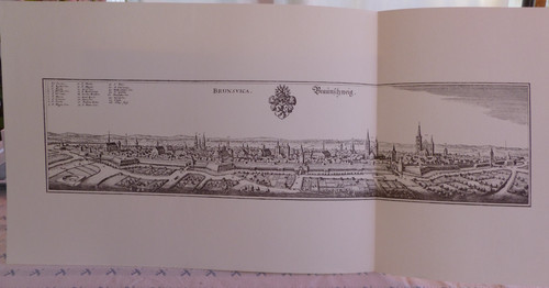 Historische stadt landkarte - historische,